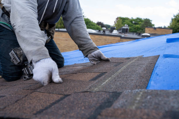 Professional Roofing Contractor in Dresden, TN