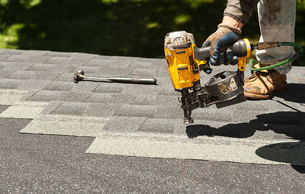 Best Local Roofing Companies  in Dresden, TN